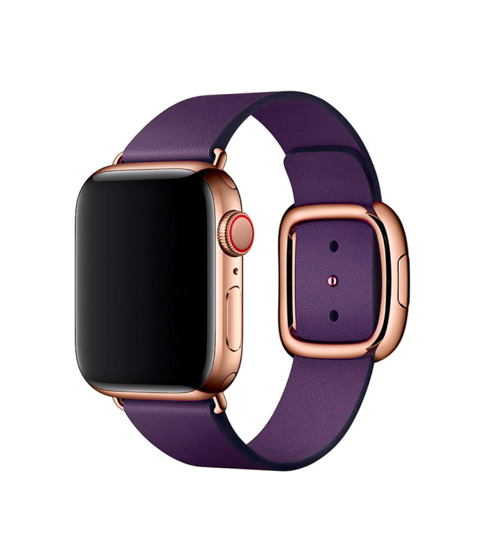 straps-leather-3 Aubergine Modern Buckle - Imagen 1