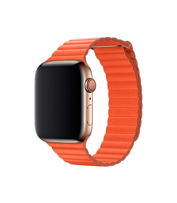 w-accessories-product-17 Apple Watch Series 6 - Imagen 1